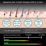 Argan Oil Hair Loss Shampoo
