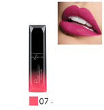 21 Color Liquid Lipstick